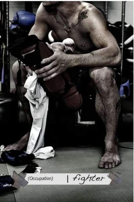   The truth about what it takes to be a professional fighter. 